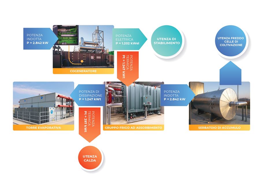 schema descrittivo del funzionamento di impianto di trigenerazione